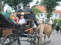 Schützenfest 2015 086